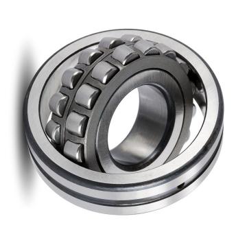 Cylindrical Roller Bearing Rn219m for Automation Equipment