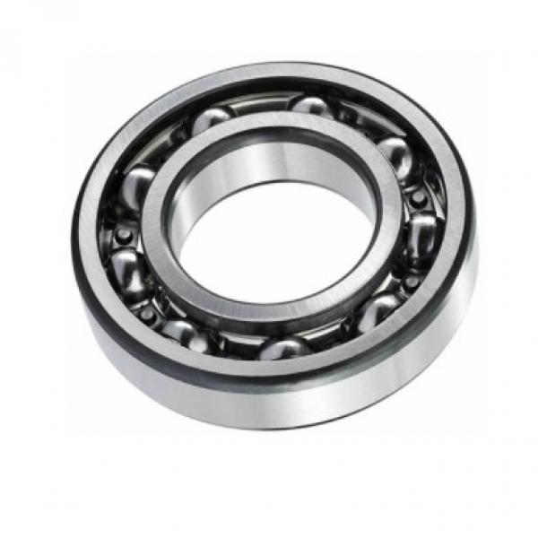 Nj2307m Types of Cylindrical Roller Bearing From China Bearing Factory #1 image